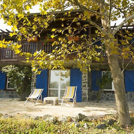 Villa Art Provence House Lozenets Exterior foto